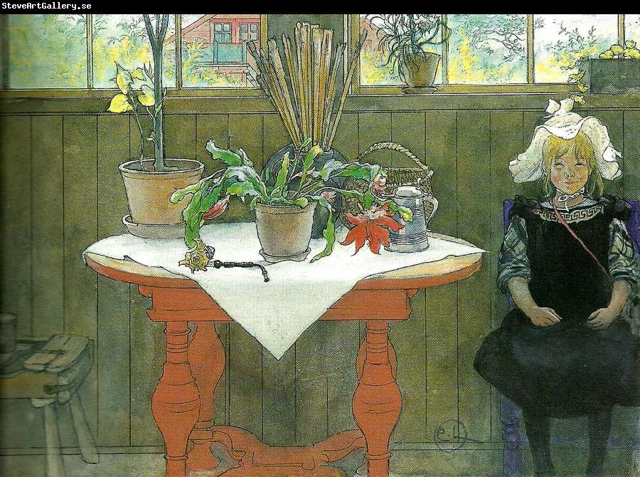 Carl Larsson kaktus-lisbeth i ateljen